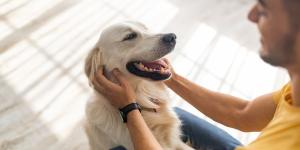 Los psicólogos coinciden: las personas que se despiden de su perro al salir y lo saludan al llegar a casa tienen esta personalidad
