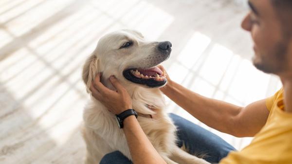 Los psicólogos coinciden: las personas que se despiden de su perro al salir y lo saludan al llegar a casa tienen esta personalidad
