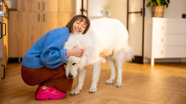 Los psicólogos coinciden: las personas que saludan y acarician a su perro antes de salir y al llegar a casa tienen esta personalidad - Saludar y despedirte de tu perro dice mucho de tu nivel de empatía 