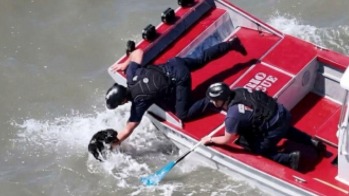 El agónico rescate de un perro que llevaba dos semanas desaparecido en plena Bahía de San Francisco