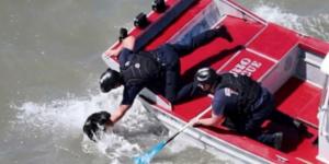 El agónico rescate de un perro que llevaba dos semanas desaparecido en plena Bahía de San Francisco