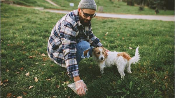 Las heces de un perro dicen más de su salud de lo que parece: estas son las señales que los veterinarios recomiendan vigilar - 5 cosas que puedes comprobar en las heces de tu perro en 10 segundos
