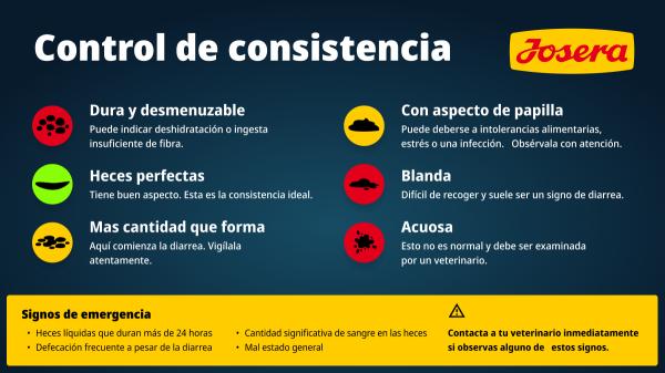 Las heces de un perro dicen más de su salud de lo que parece: estas son las señales que los veterinarios recomiendan vigilar - Así son los 7 tipos de heces que puede hacer un perro según su consistencia