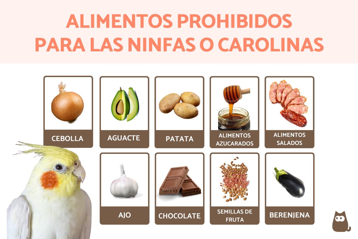 Alimentos prohibidos para las ninfas