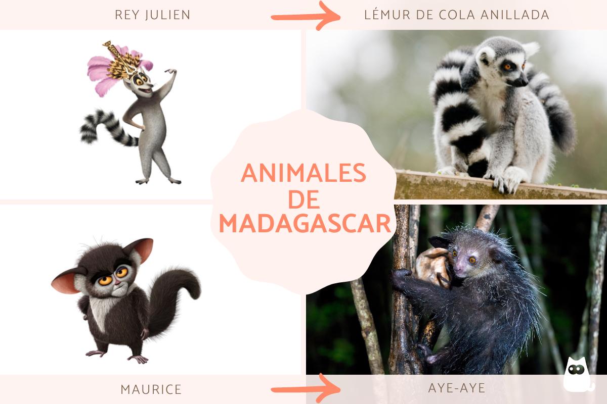Animales de la película Madagascar
