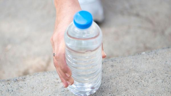 ¿Es obligatorio limpiar el pis de perro? Multas de hasta 10.000 euros según la ley - ¿Cómo limpiar el pis de perro para evitar multas?