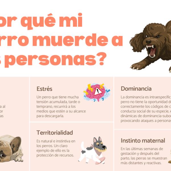 por qué los perros atacan a los animales pequeños