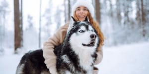 Un estudio revela que los perros todavía conservan ADN de lobo: del husky al chihuahua, estas son las razas con más genes de lobo