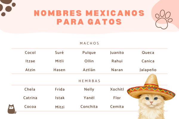 Nombres mexicanos para gatos
