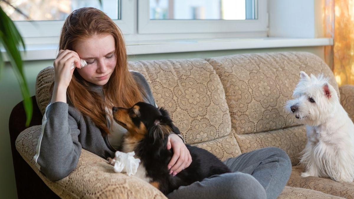 Juan Manuel Liquindoli, educador canino: “Los perros huelen nuestros cambios emocionales y nos consuelan cuando lloramos”