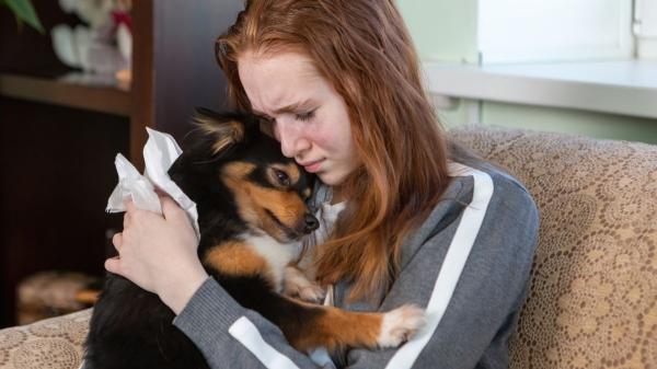 Juan Manuel Liquindoli, educador canino: “Los perros huelen nuestros cambios emocionales y nos consuelan cuando lloramos” - Los perros se acercan a las personas que lloran para ofrecerles compañía