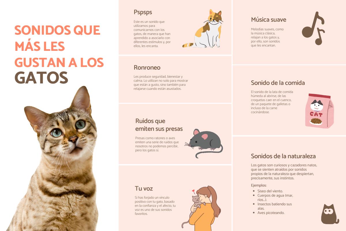 Sonidos que les gustan a los gatos