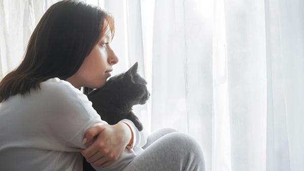Ni fríos ni indiferentes: lo que la ciencia está descubriendo sobre el apego de los gatos a sus cuidadores - La diferencia clave entre gatos y perros que explica su forma de relacionarse con las personas