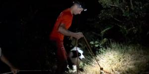 Los drones salvan la vida de "Covi": así fue el rescate del perro que pasó siete horas atrapado en un acantilado de Asturias