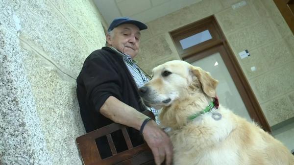 Una residencia de Galicia acogió a un golden retriever para acompañar a sus mayores y ahora no imaginan el día a día sin él: “Es el niño mimado de la casa” - Odie y Andrés, una amistad inesperada: “Él me cuida a mí y yo lo cuido a él”