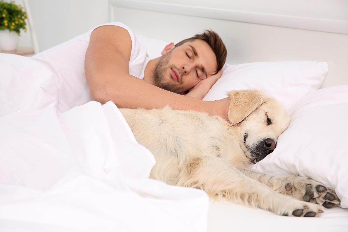 Mi perro tiene garrapatas y duerme conmigo, ¿me las puede pegar?