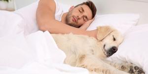 Mi perro tiene garrapatas y duerme conmigo, ¿me las puede pegar?