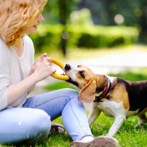 Juegos con tu perro clearance