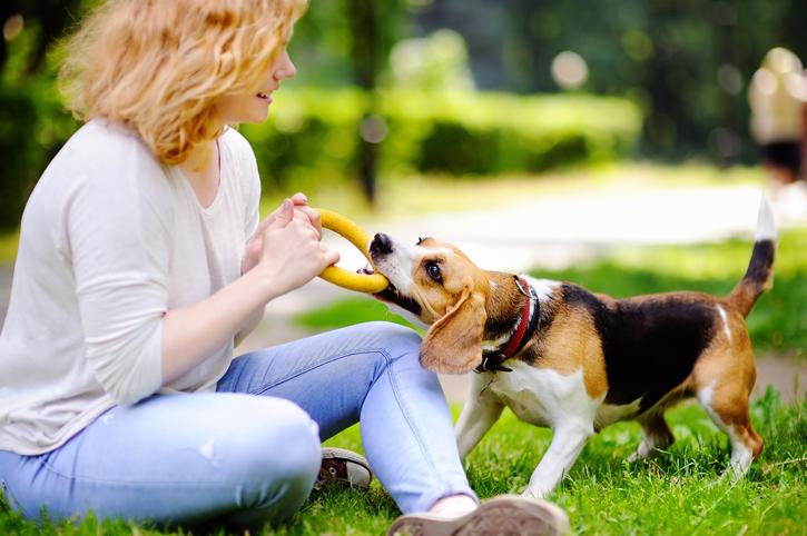 Trucos para motivar a mi perro para que juegue