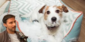 Juan Manuel Liquindoli, educador canino: “Los perros no se vengan ni sienten culpa; detrás puede haber frustración o estrés”