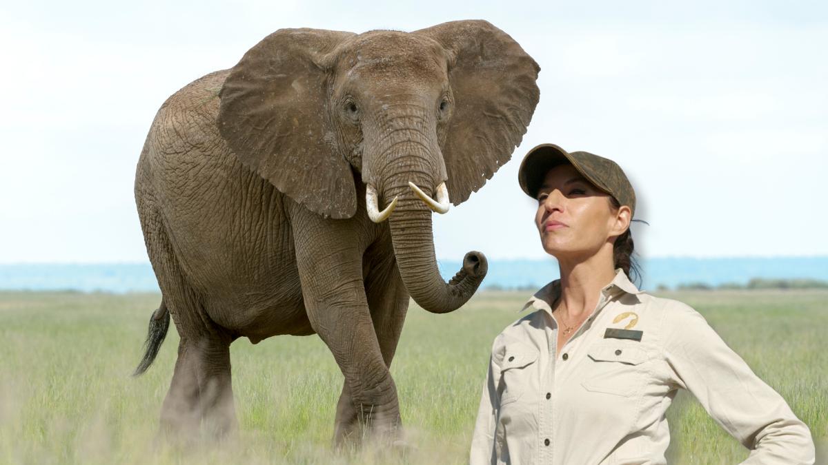 La Doctora Fabiola Jones sobre el proceso de vacunación de elefantes en una reserva protegida: "Se les vacuna para evitar brotes de ántrax, tuberculosis o el herpes y se hace siempre desde el aire"