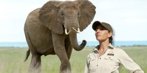 La Doctora Fabiola Jones sobre el proceso de vacunación de elefantes en una reserva protegida: "Se les vacuna para evitar brotes de ántrax, tuberculosis o el herpes y se hace siempre desde el aire"