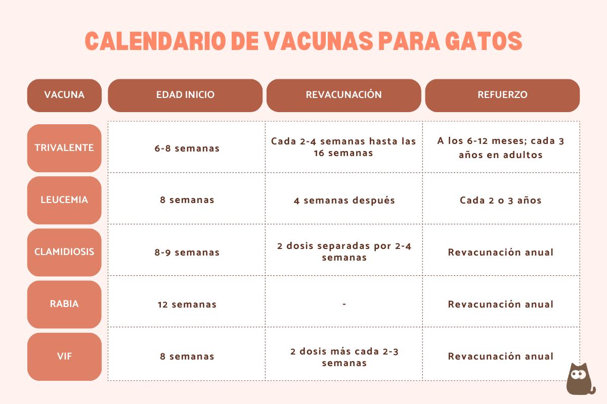 Calendario de vacunas para gatos