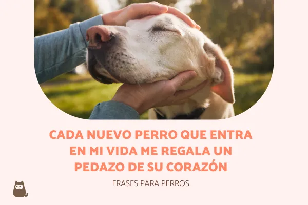 los perros recuerdan las voces