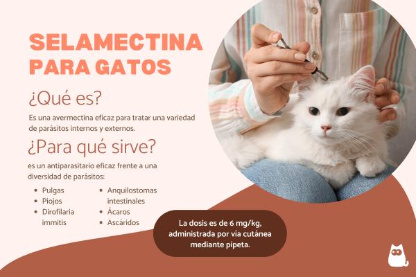 Selamectina para gatos: dosis y para qué sirve
