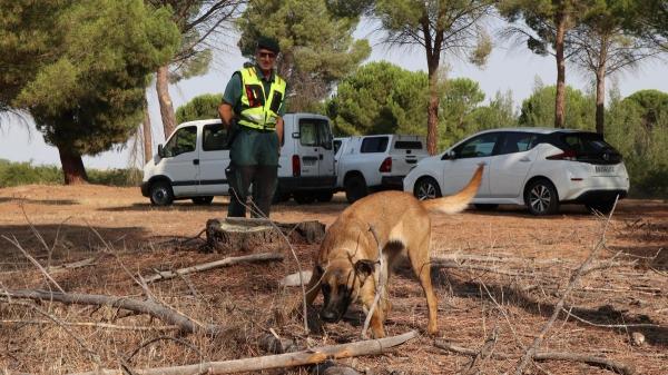 Así entrenan los perros policía para salvar vidas: la historia viral de Poncho que sigue sorprendiendo años después - Juego, refuerzo positivo y vínculo: las claves del entrenamiento de los perros policía