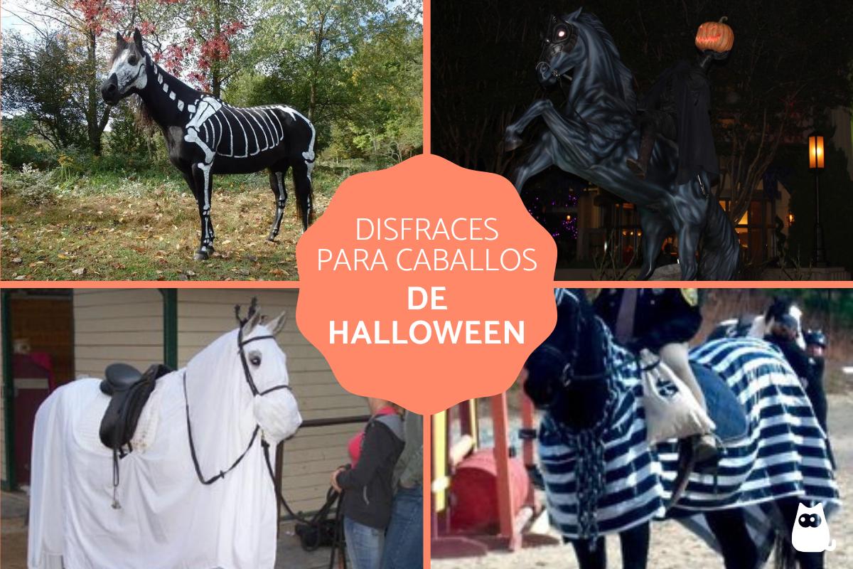 Disfraces de Halloween para caballos