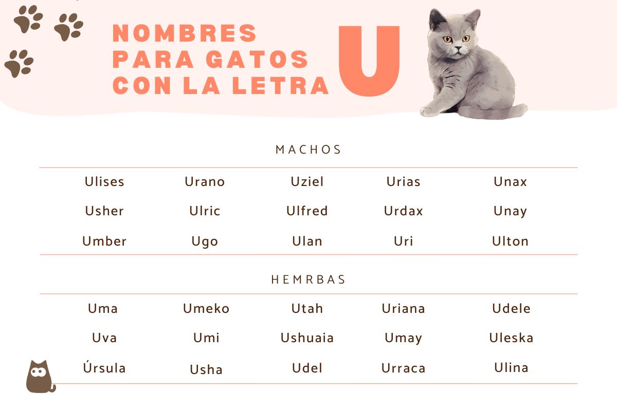 Nombres para gatos con U