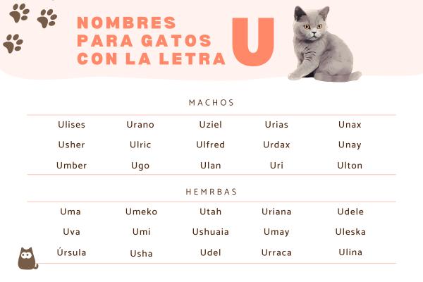 Nombres para gatos con U