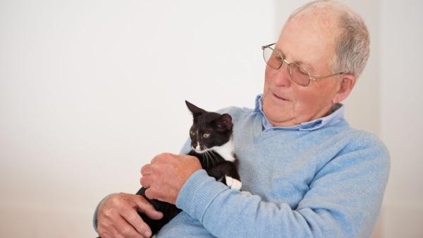 Un hombre de 82 años dejará su casa y toda su herencia a quien se haga cargo de su gata cuando él muera: “Es mi única compañía” - Los gatos no pueden heredar en España, pero la ley permite proteger su futuro