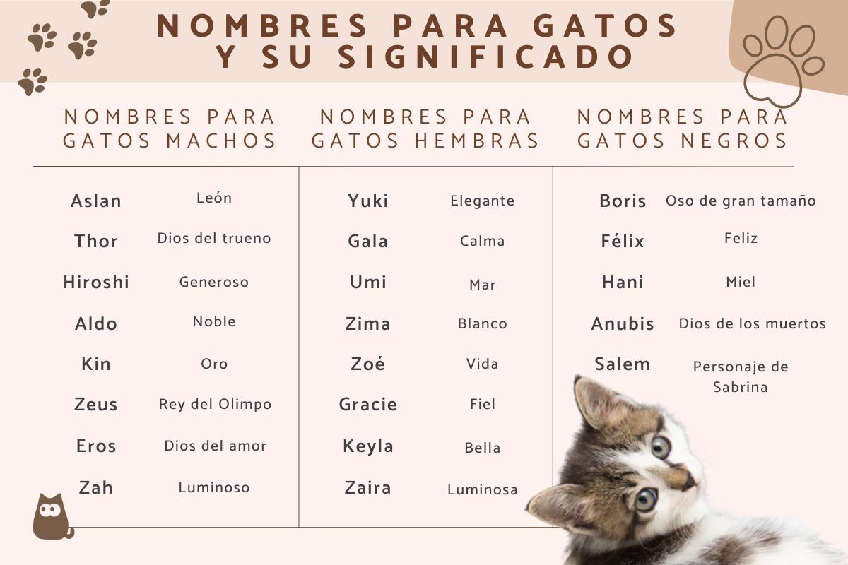 Nombres para gatos con significado