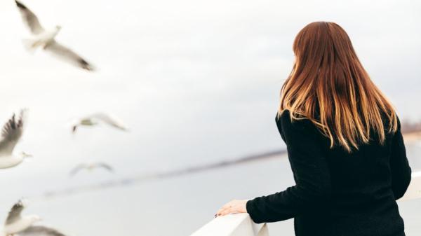 Si ves pájaros posarse en tu ventana o balcón, no es casualidad: lo que realmente significa y por qué puede ser positivo - Qué ocurre en tu mente cuando ves aves en tu ventana o balcón, según la ciencia