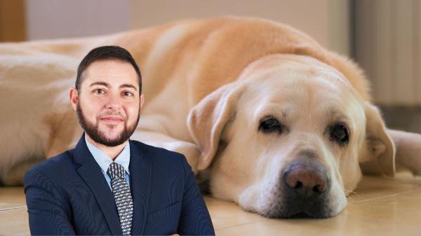 Eloi Sarrió, abogado animalista: “Hay convenios que reconocen dos días de permiso por la muerte de un animal de compañía”