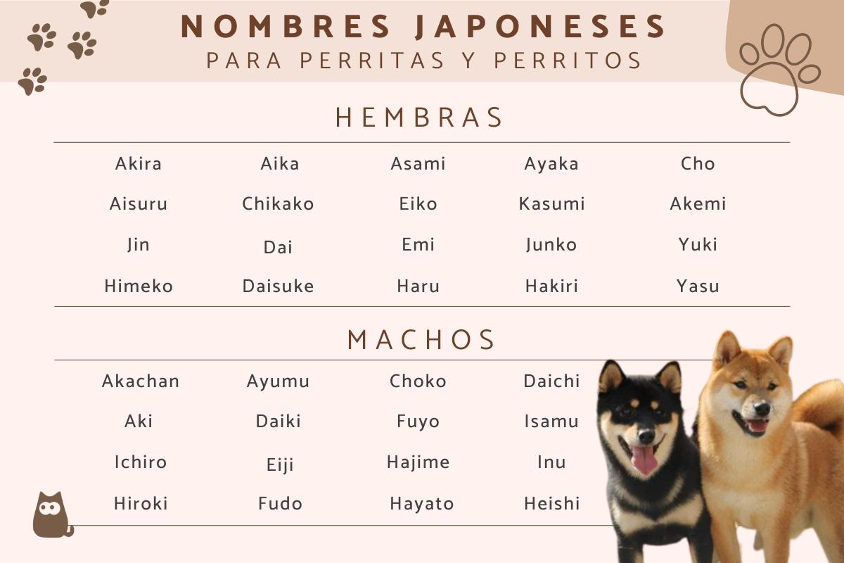 Nombres para perros en japonés