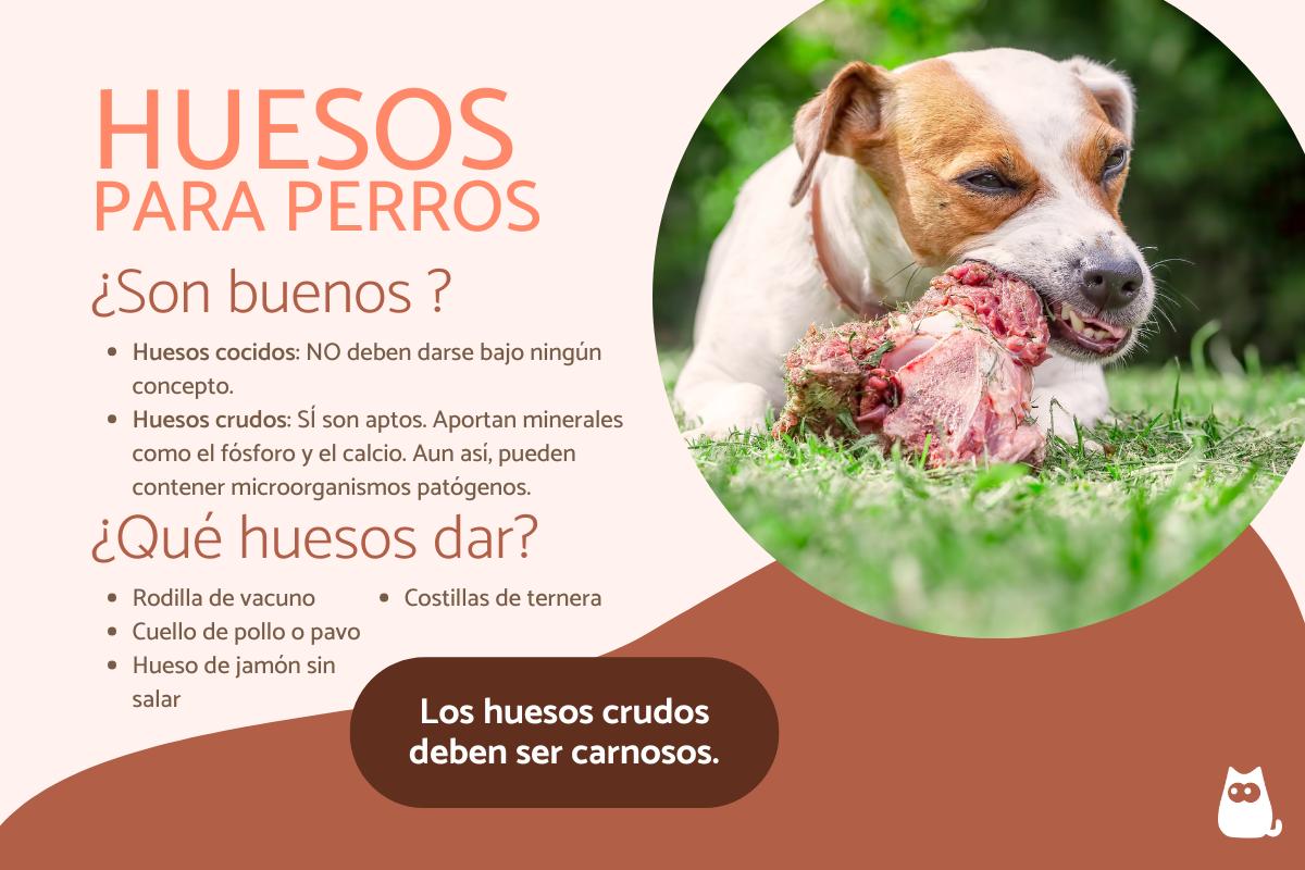 ¿Los perros pueden comer huesos?