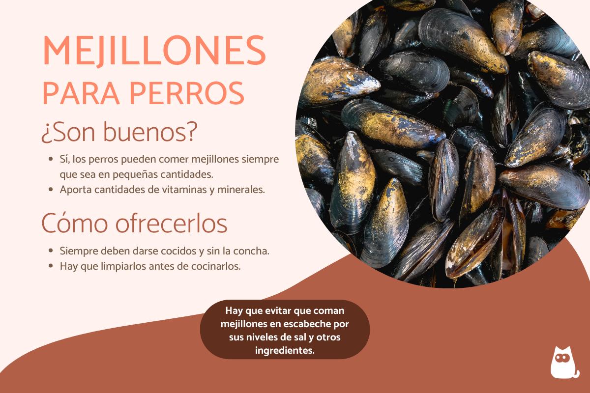 ¿Los perros pueden comer mejillones?