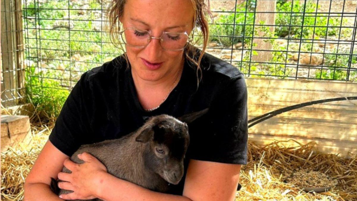 Un santuario de Valencia busca voluntarios para cuidar a 140 animales rescatados a cambio de alojamiento y comida