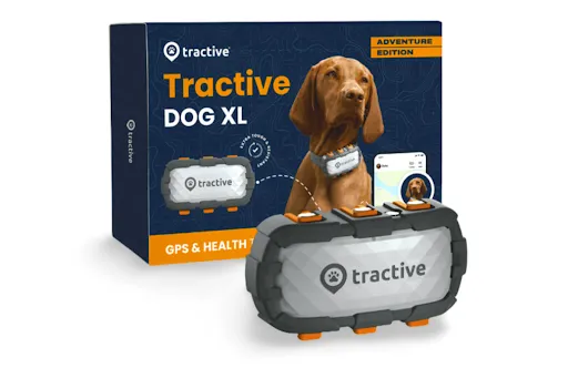 Localizador GPS para perros: funciones y ventajas