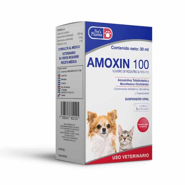 Amoxicilina para perros: dosis, usos y efectos secundarios - ¿Se puede usar amoxicilina de humanos en perros?