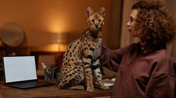 María Besteiros, auxiliar veterinaria: “El listado positivo de animales puede proteger a especies que no deberían ser mascotas, pero plantea retos en su aplicación” - El proyecto de desarrollo del listado positivo recibe el apoyo de expertos y entidades de protección animal