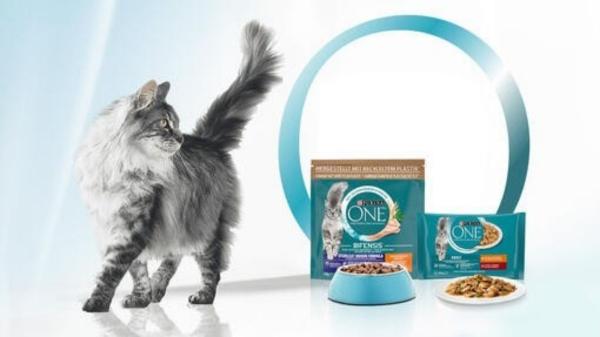 Alimentación mixta para gatos: por qué es beneficioso combinar comida húmeda y pienso seco - Cómo puede ayudarte Purina ONE a construir una rutina de alimentación mixta