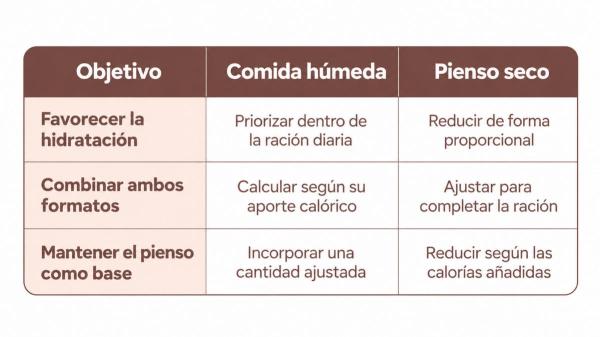Alimentación mixta para gatos: por qué es beneficioso combinar comida húmeda y pienso seco - Cuánta comida húmeda y cuánto pienso necesita un gato al día