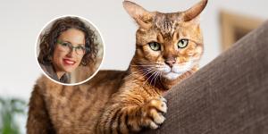 Paula Calvo, experta en antrozoología: “El cerebro del gato no está diseñado para complacerte”
