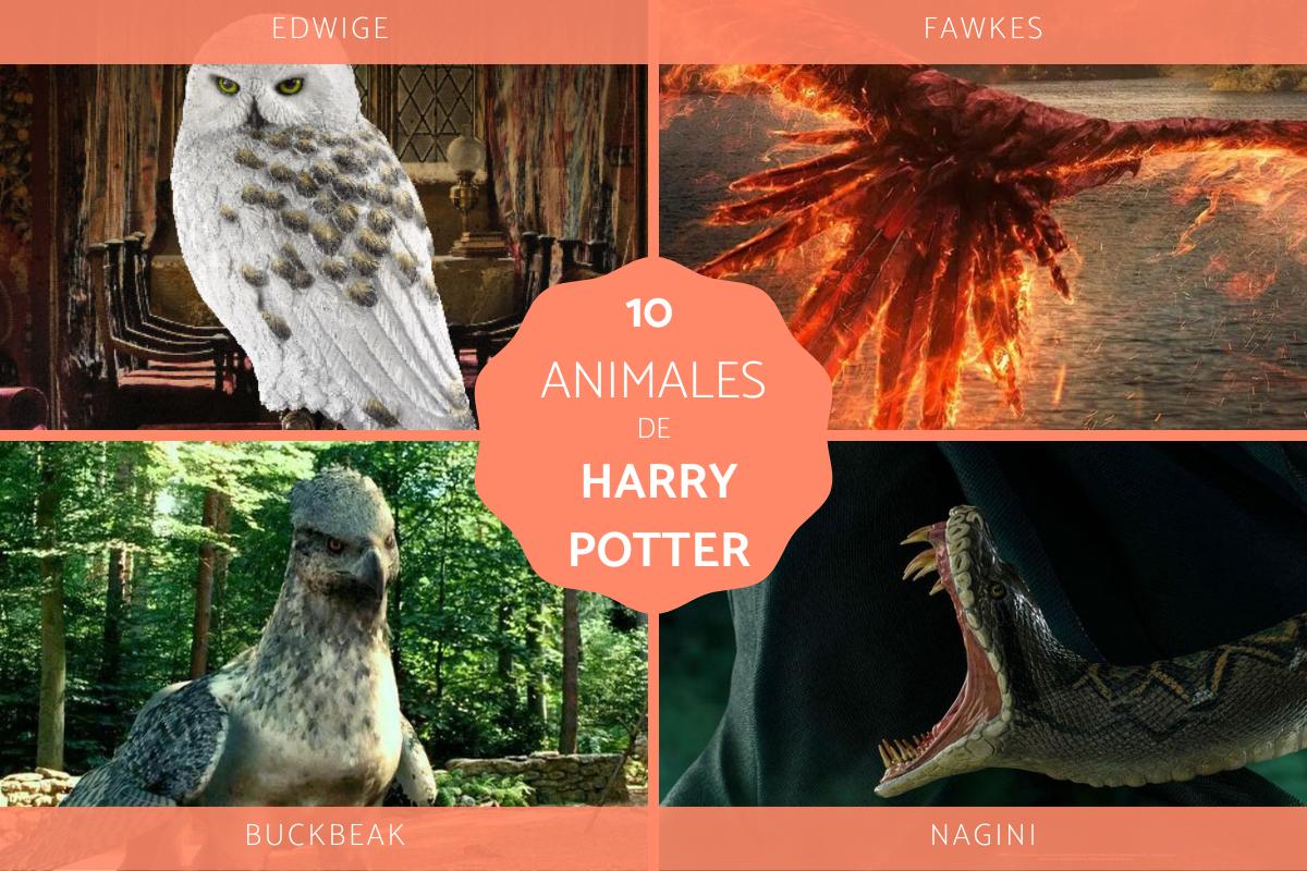 Animales en Harry Potter