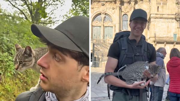 “Se había autoadoptado y se lo merecía”: Julio detuvo el Camino de Santiago para adoptar a un gato que lo siguió 15 km - De peregrino a cuidador: la decisión que detuvo su Camino de Santiago