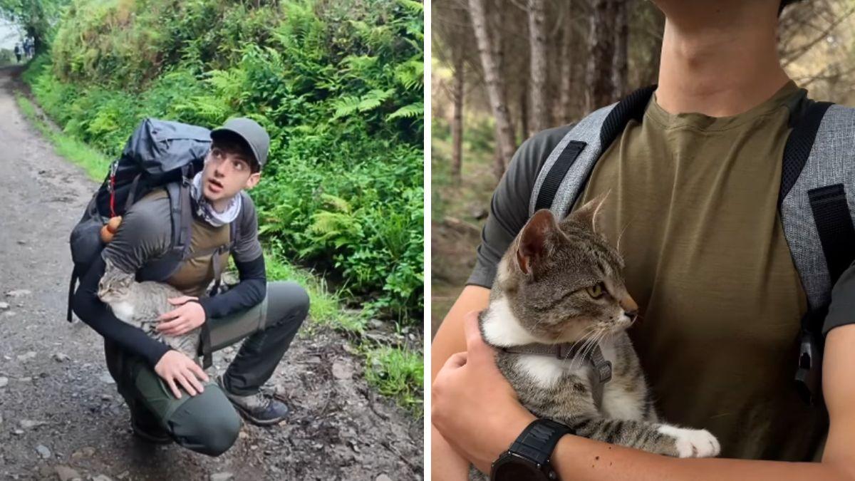 “Se había autoadoptado y se lo merecía”: Julio detuvo el Camino de Santiago para adoptar a un gato que lo siguió 15 km
